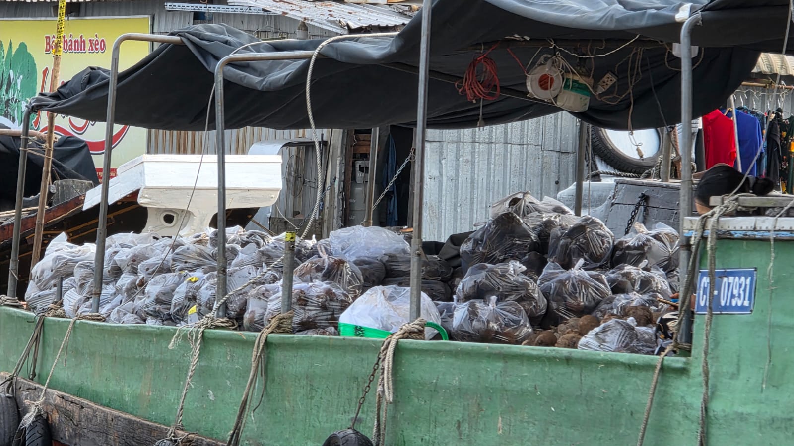 PHOTO-2025-11-16-04-04-41