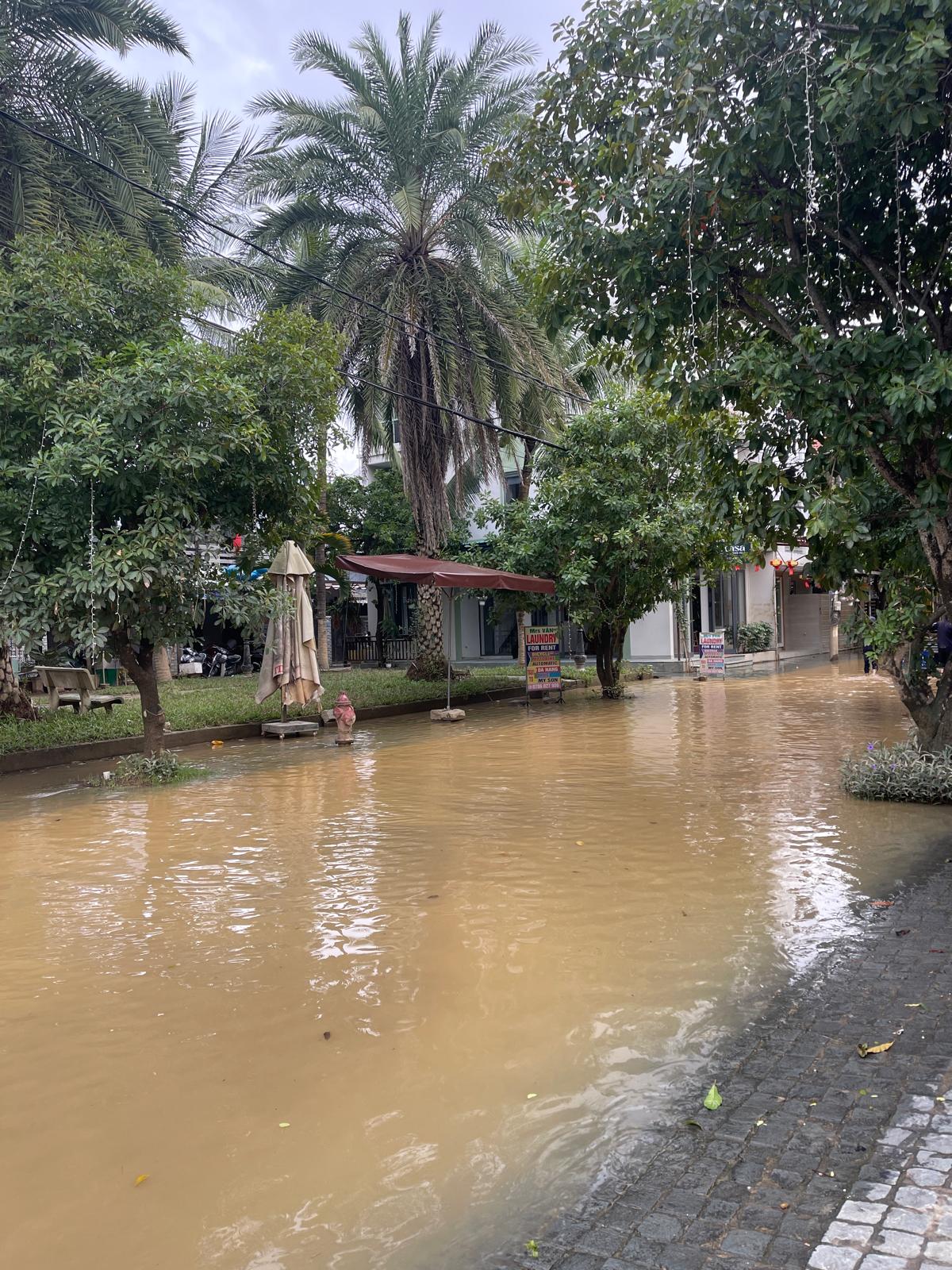 WhatsApp Image 2025-11-17 à 16.53.22_00d67214