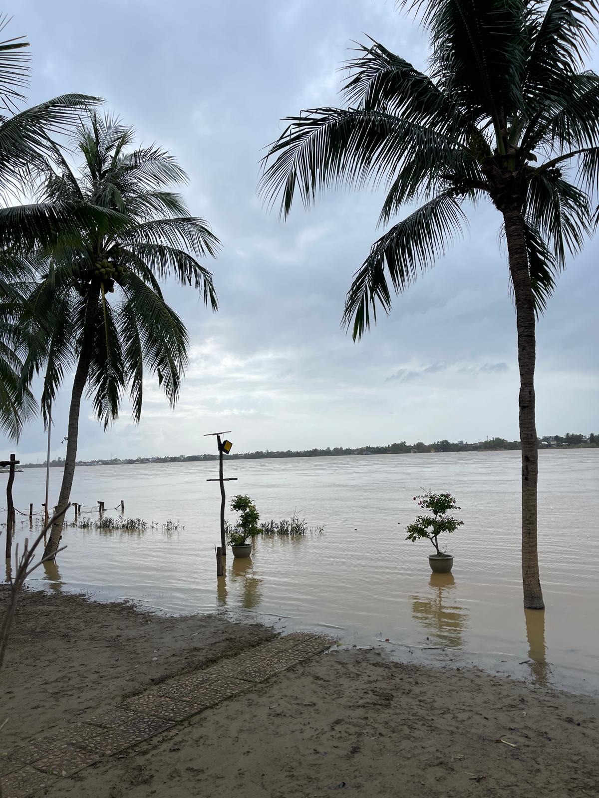 WhatsApp Image 2025-11-17 à 16.53.22_1a63cad5