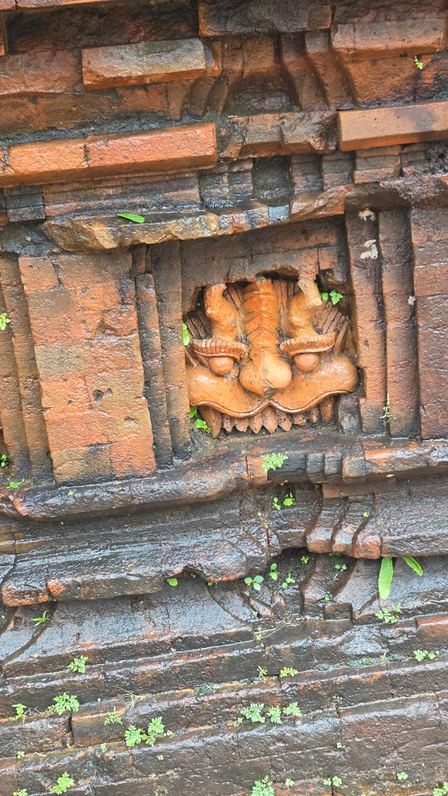 WhatsApp Image 2025-11-17 à 16.57.04_594a5926