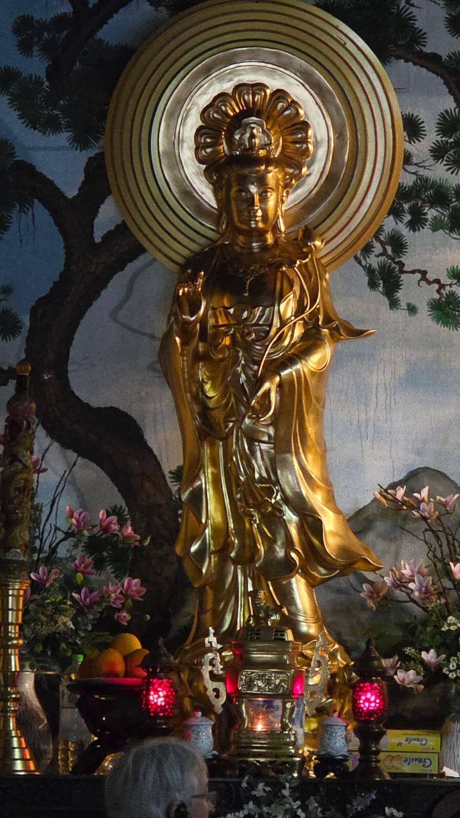 WhatsApp Image 2025-11-17 à 16.57.26_549788ce