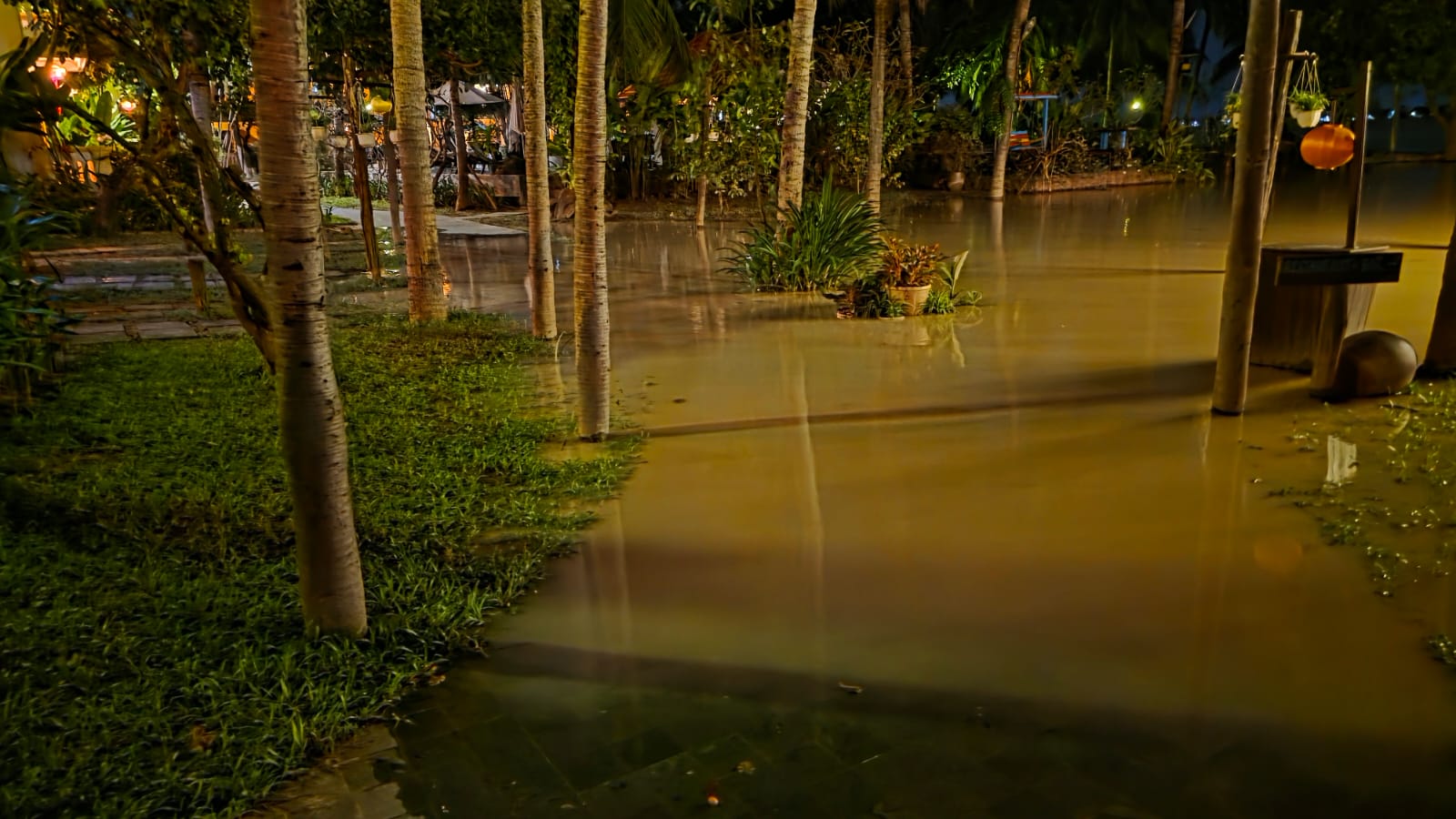 WhatsApp Image 2025-11-17 à 16.57.36_233aafda