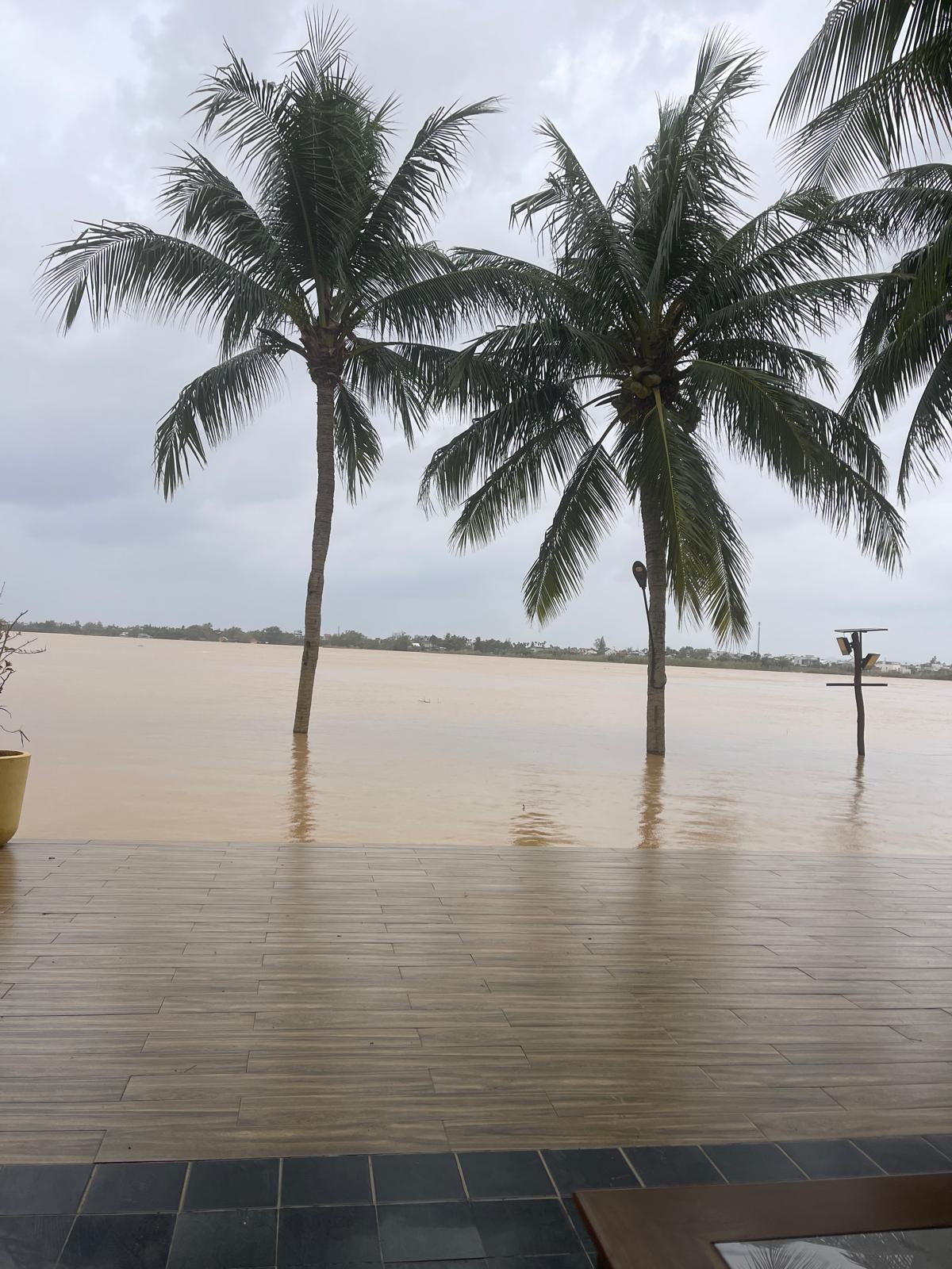 WhatsApp Image 2025-11-18 à 16.40.37_d6121f26