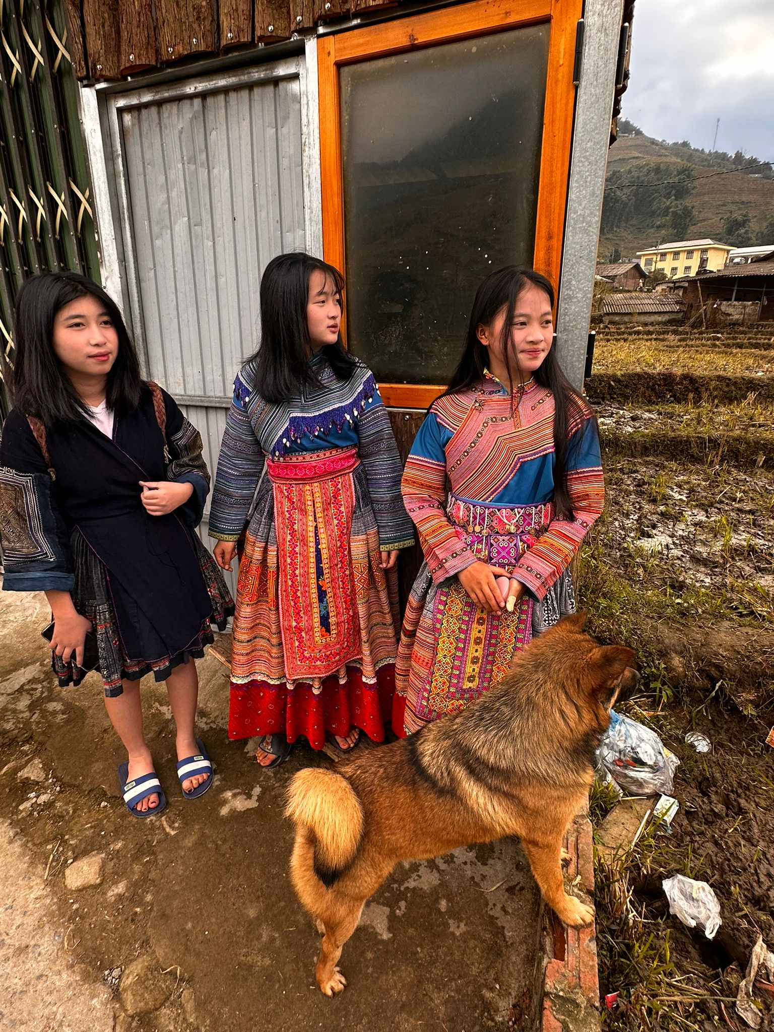 WhatsApp Image 2025-11-22 à 12.55.45_6e75f088