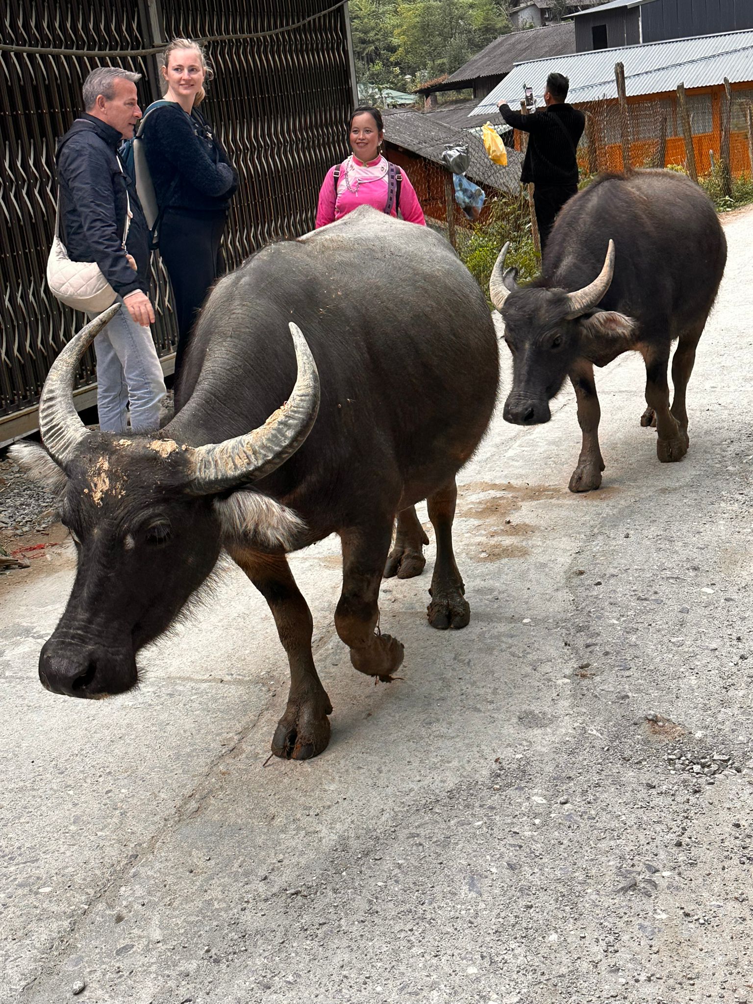 WhatsApp Image 2025-11-22 à 12.55.46_60138223