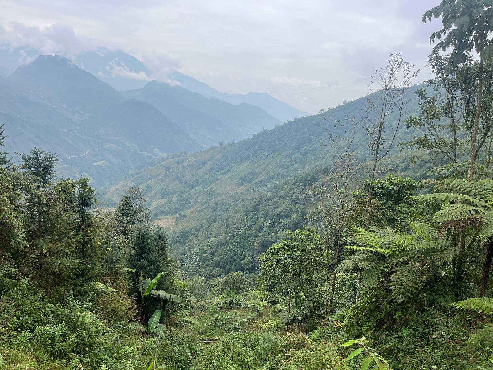 WhatsApp Image 2025-11-22 à 13.10.02_621920c3