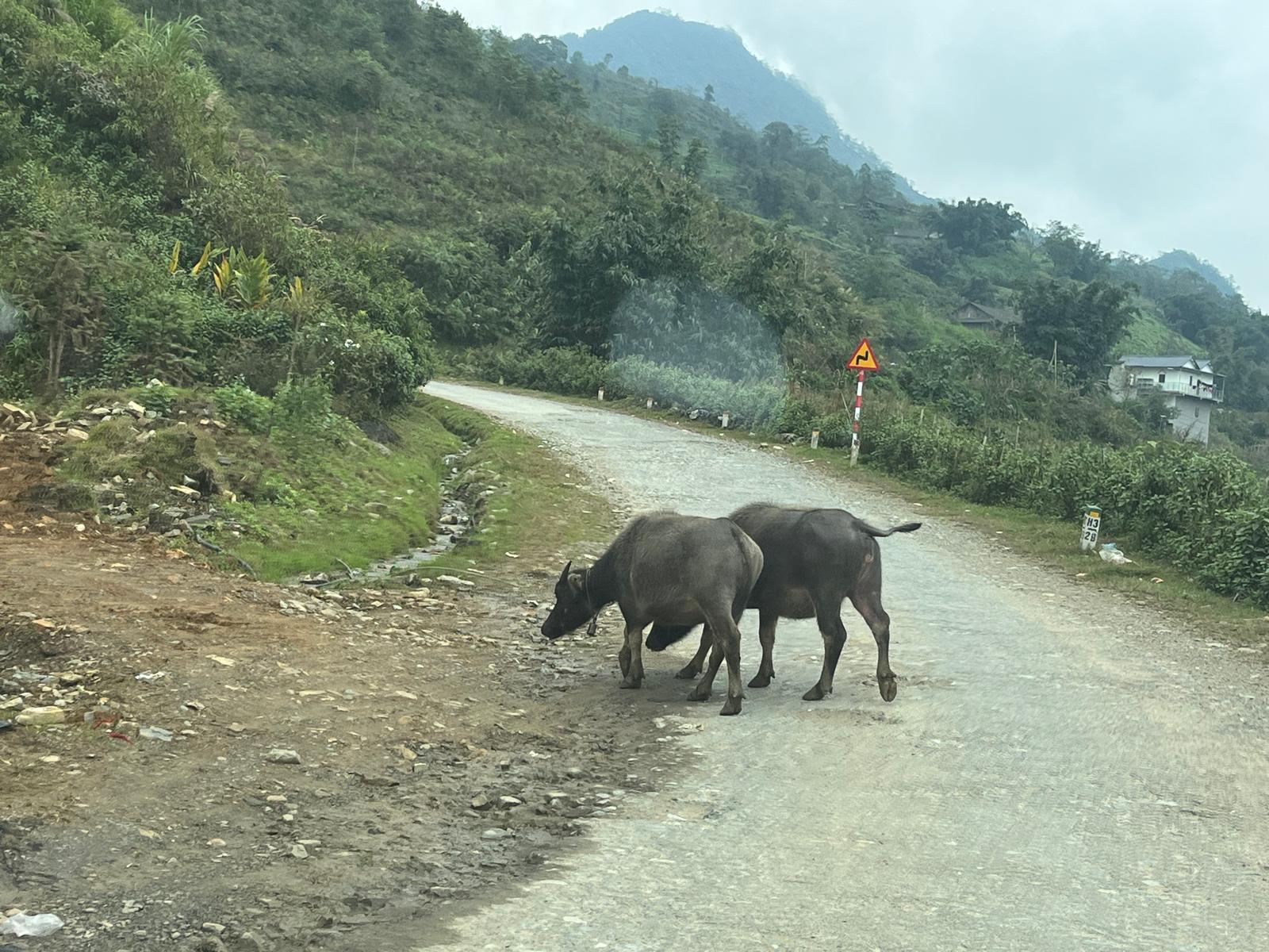 WhatsApp Image 2025-11-22 à 13.10.19_ad76c8fe